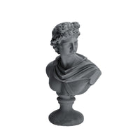 Ad Busto In Cemento 2 colori 19.5X11X30.5Cm