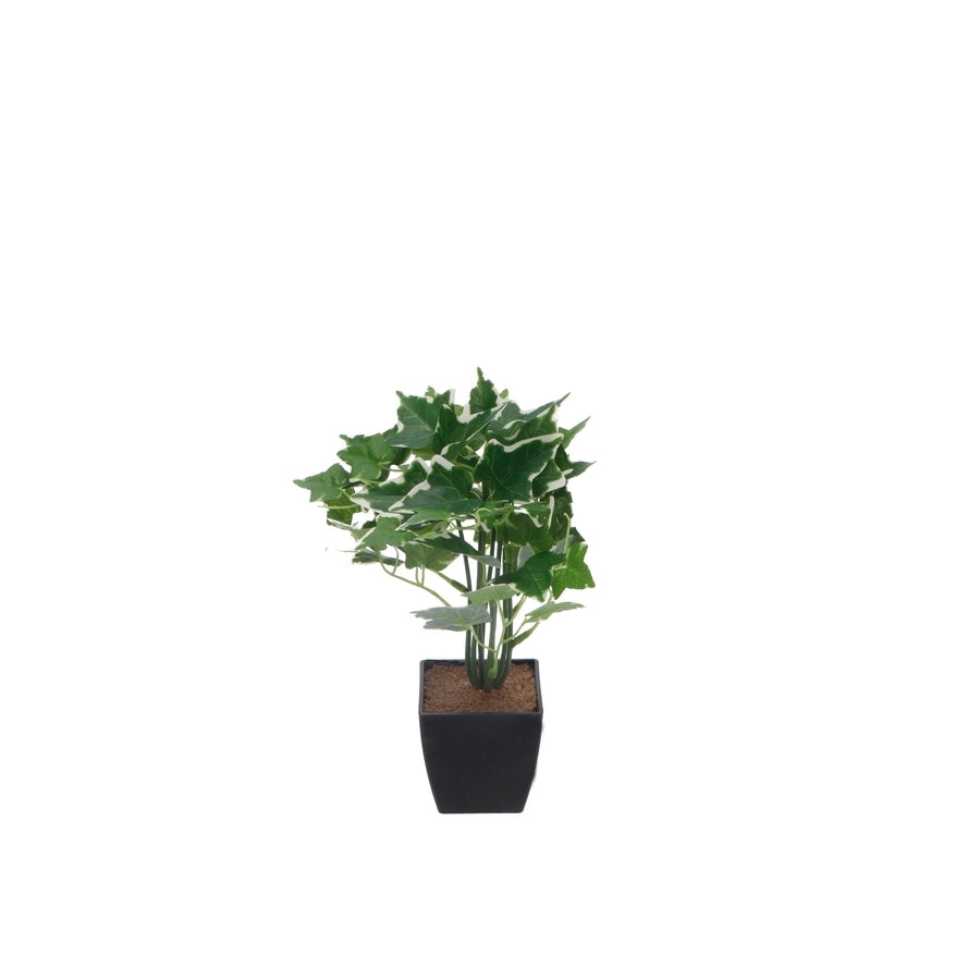 Ad Vaso Con Pianta 4 modelli 20ØX26h