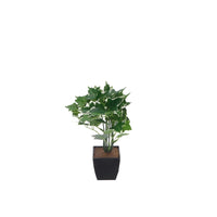 Ad Vaso Con Pianta 4 modelli 20ØX26h