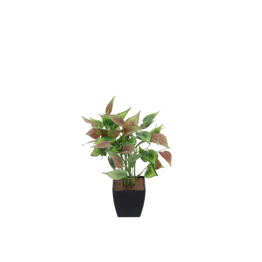 Ad Vaso Con Pianta 4 modelli 20ØX26h