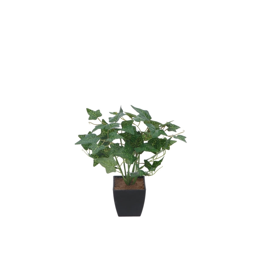 Ad Vaso Con Pianta 4 modelli 20ØX26h