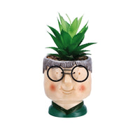 Ad Vaso Pianta Grassa Per Decorazione 2 colori D10Xh20
