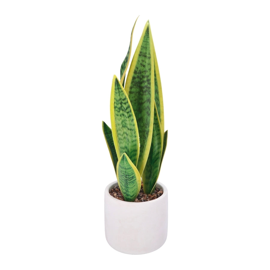 Ad Vaso Con Pianta 2 modelli Ø11Xh37