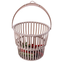 Precious Clothes Peg Basket With 20 Clips