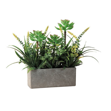 Ad - Vaso Con Lavanda Assortito 4 Colori 17X65Xh23,5