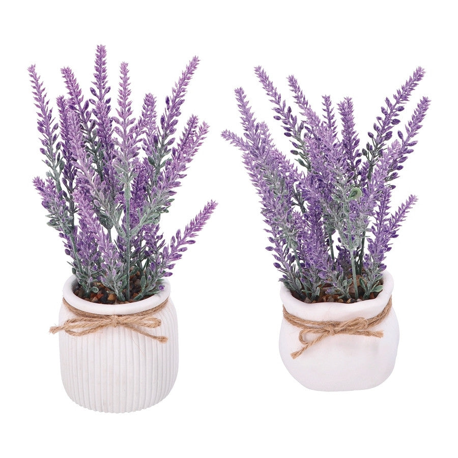 Ad Vaso con Lavanda 2 Modelli Diam9Xh20