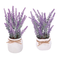 Ad Vaso con Lavanda 2 Modelli Diam9Xh20