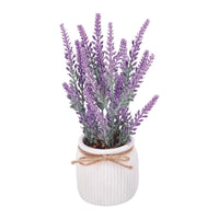 Ad Vaso con Lavanda 2 Modelli Diam9Xh20