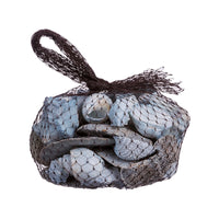 Ad Pot Pourri conchiglie Per Decorazioni G300