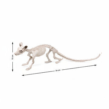 Atosa Scheletro 34X10 Cm
