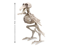 Atosa Gadget Skeleton 19X12 Cm