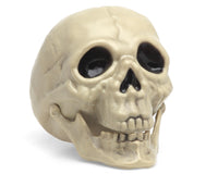 Atosa G. Skeleton 175X12X14Cm Halloween