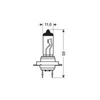 Pilot - BLU-XE H7 100W Halogen Lamp 2 pcs